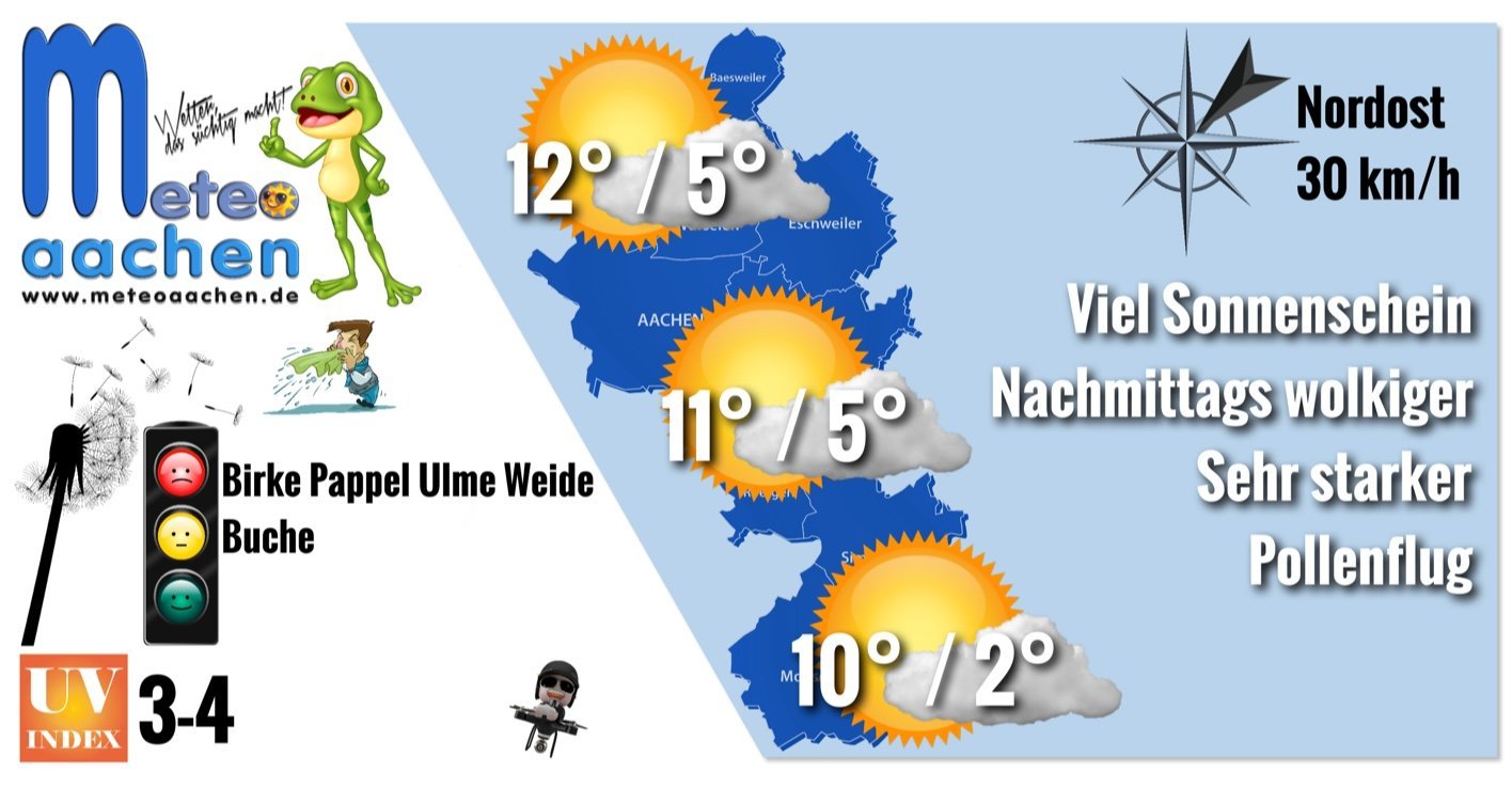 Friedhof der Kuscheltiere