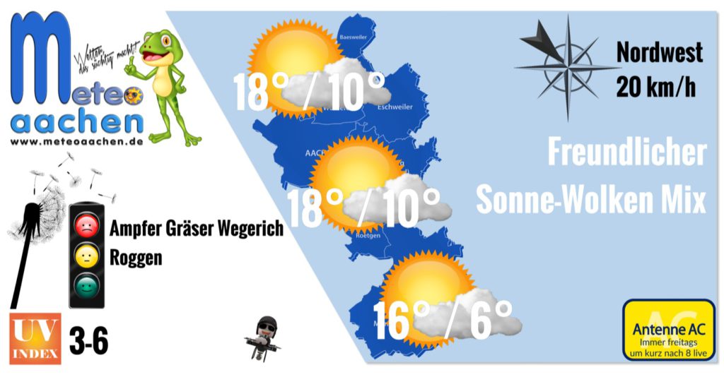 Sumpfige Allerlei