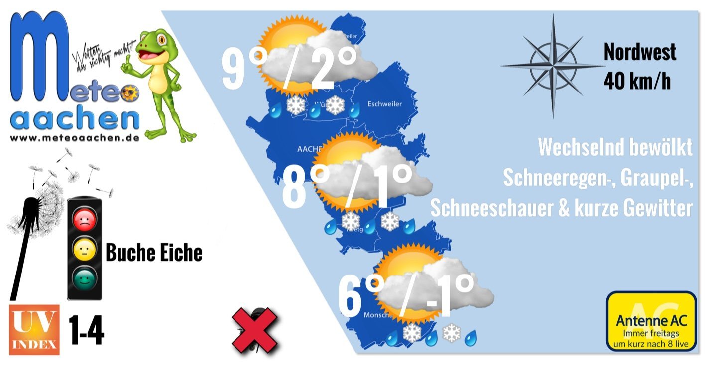 Maischnee