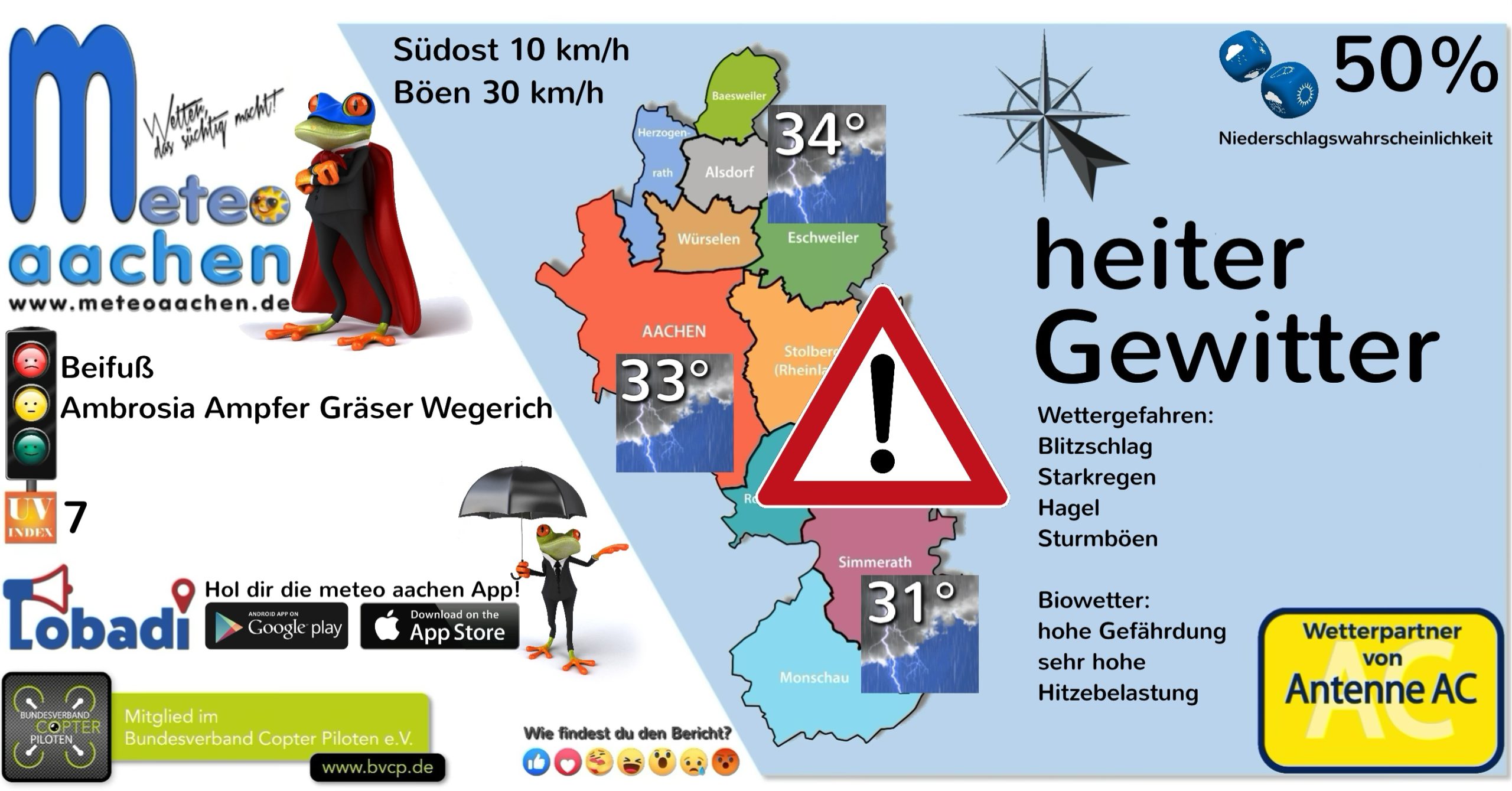 Regenwald