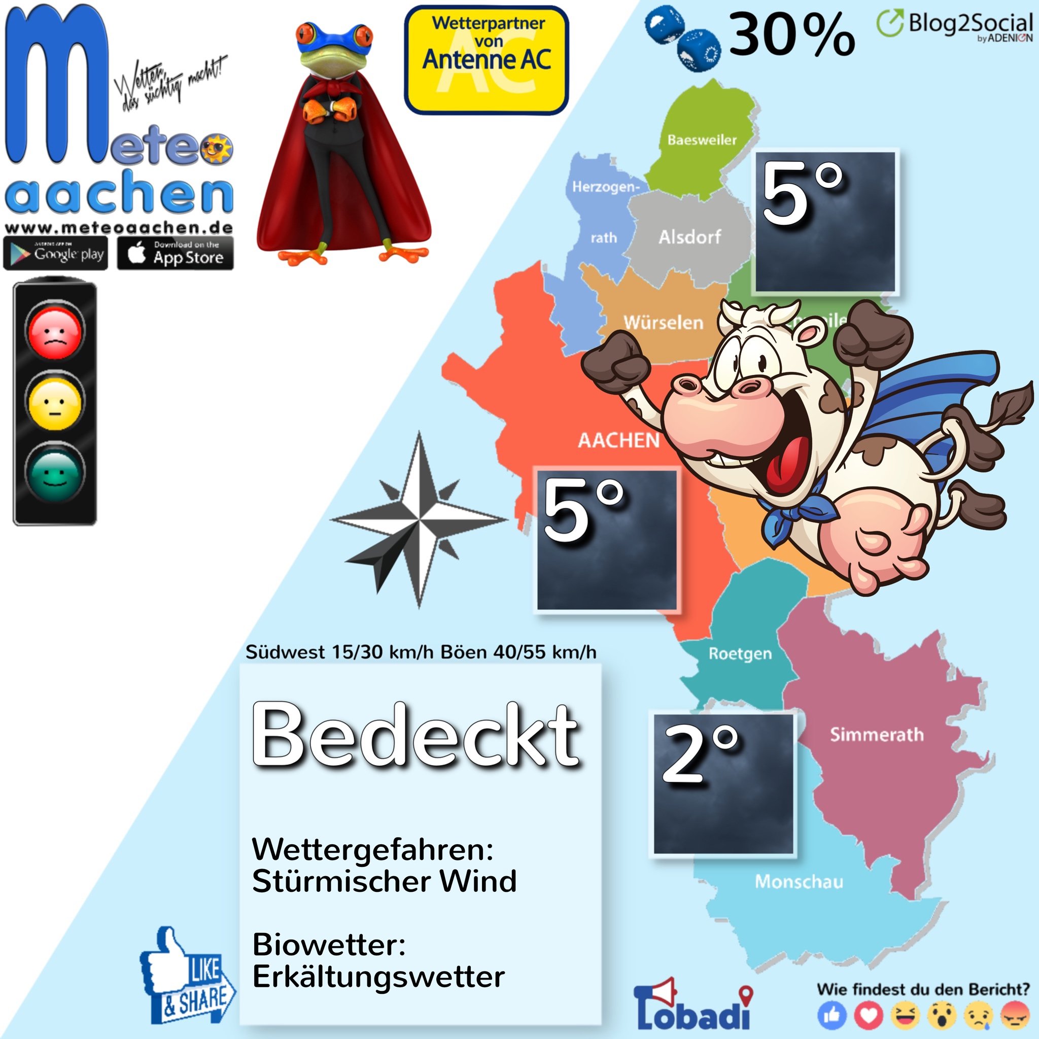 Kühe