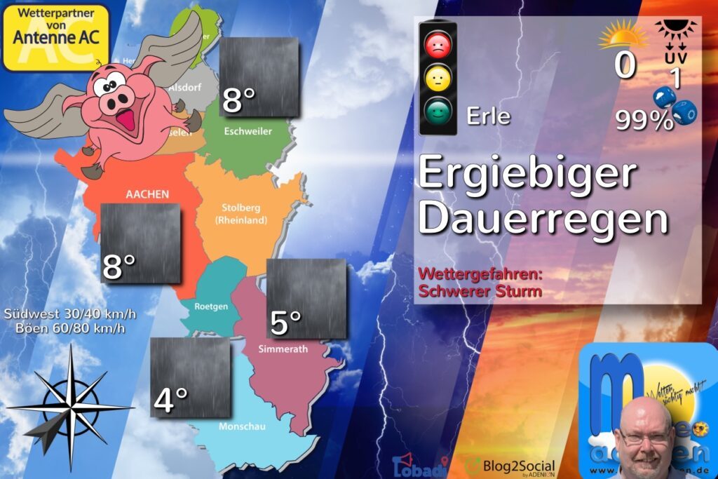 Regentrulla