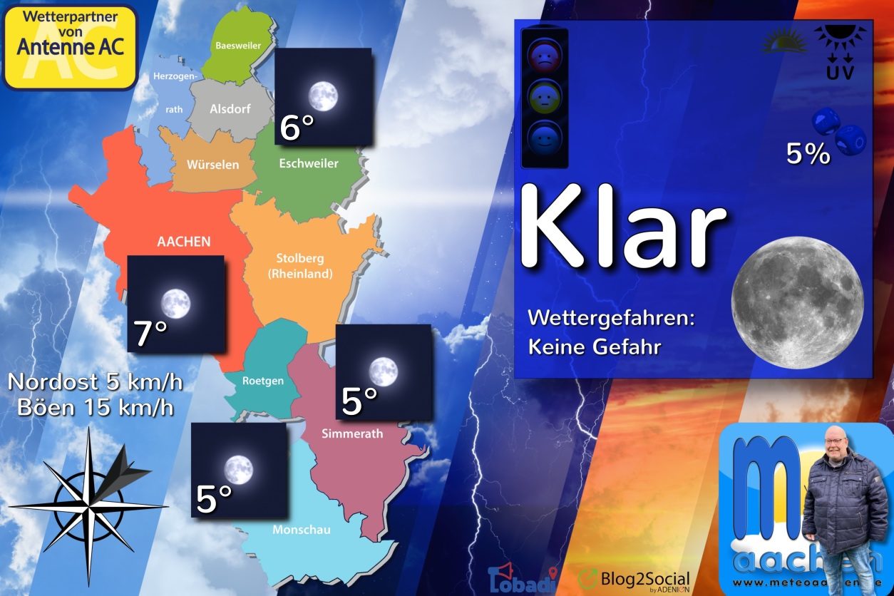 Dem Nebel